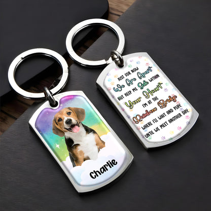 Just For Now We Are Apart, Dog at Rainbow Bridge With Paw Prints