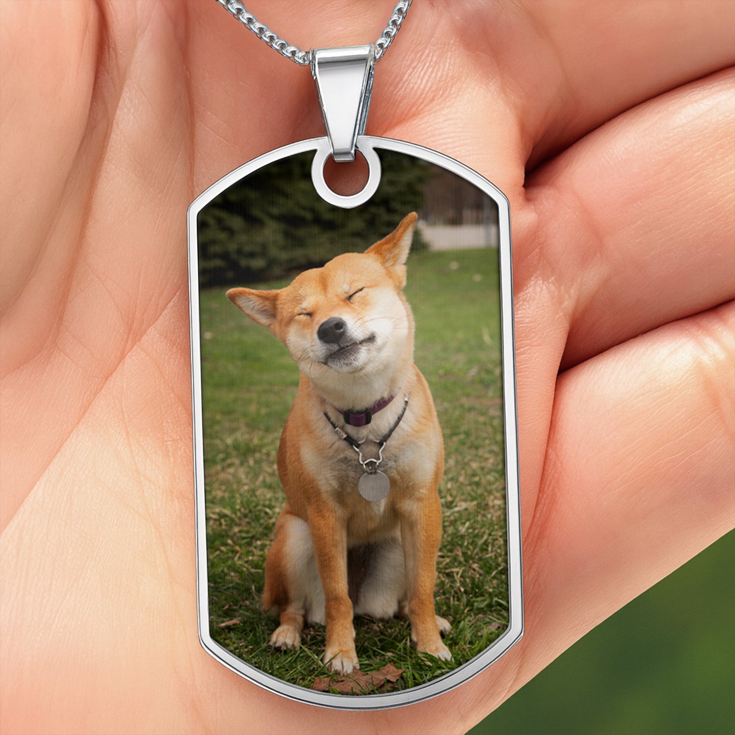 Cherish Your Furry Friend Forever With A Dog Tag
