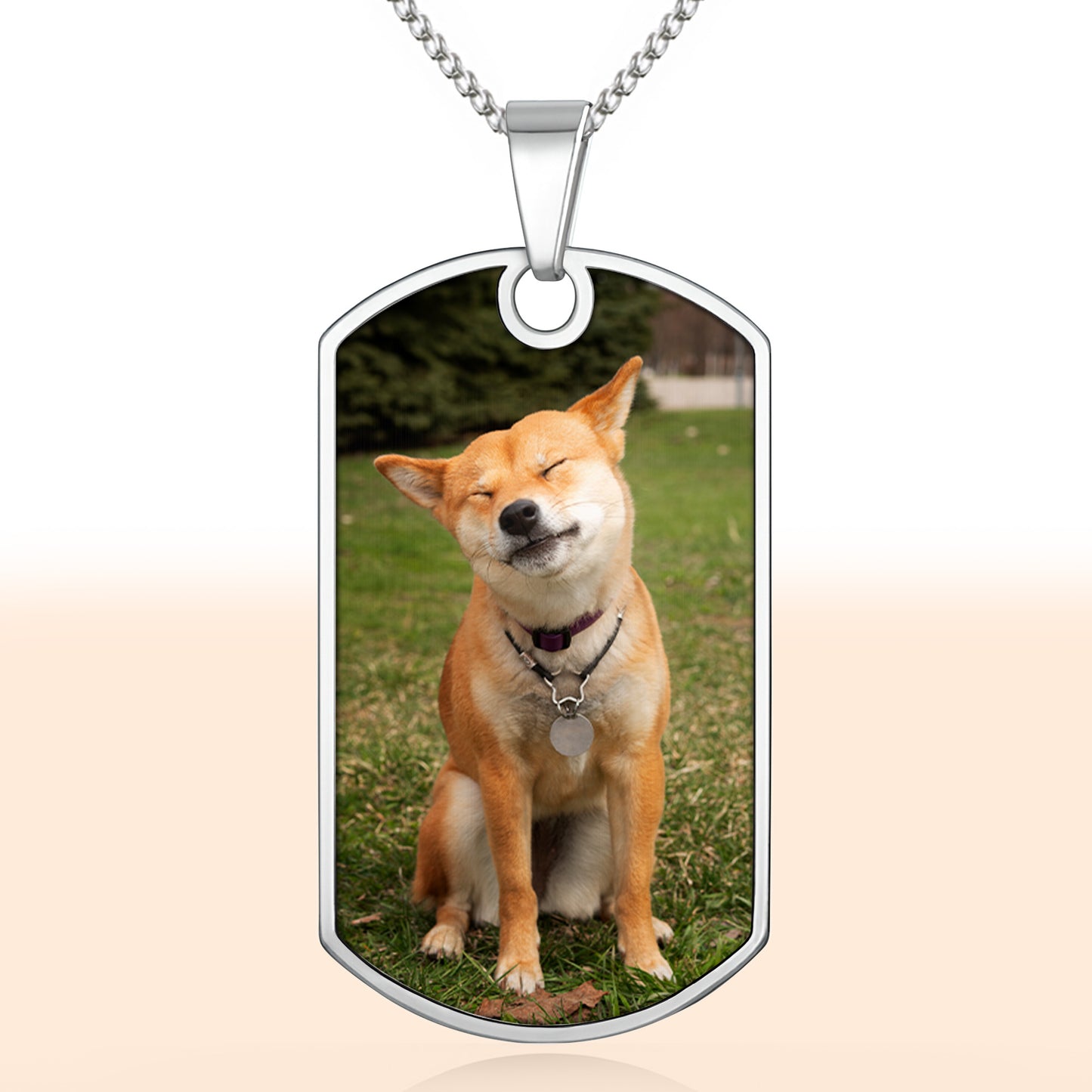 Cherish Your Furry Friend Forever With A Dog Tag