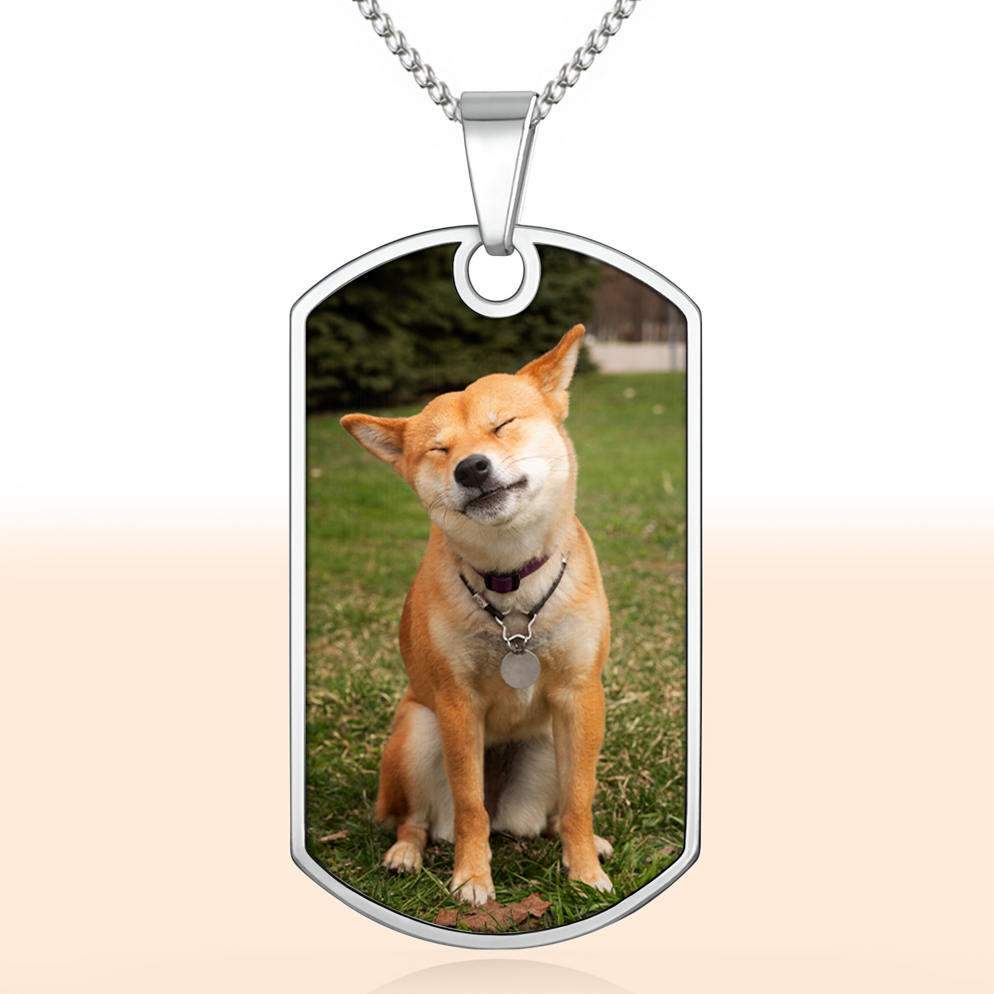 Cherish Your Furry Friend Forever With A Dog Tag