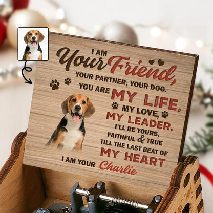 I Am Your Friend, Your Partner, Your Dog, Paw Prints And Dog Image
