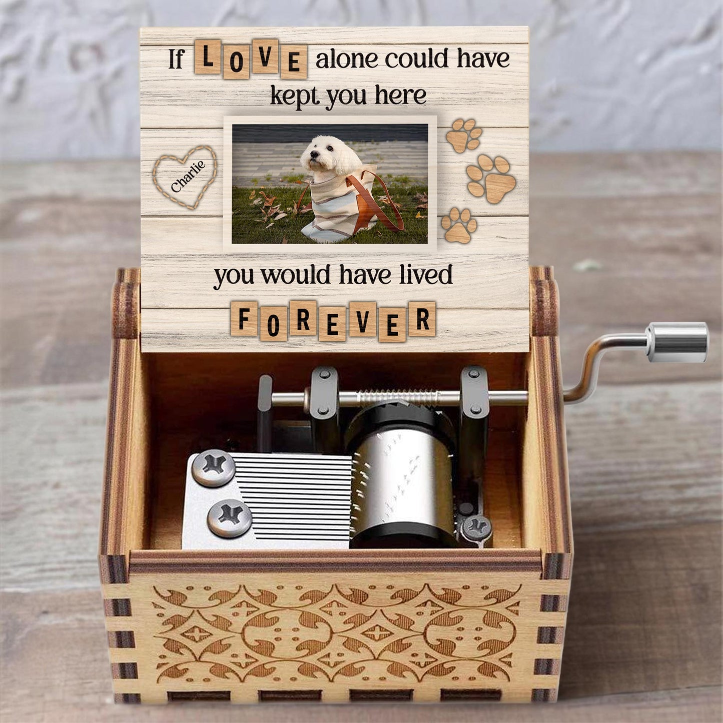 If Love Alone Could Have Kept You Here, Dog and Paw Prints