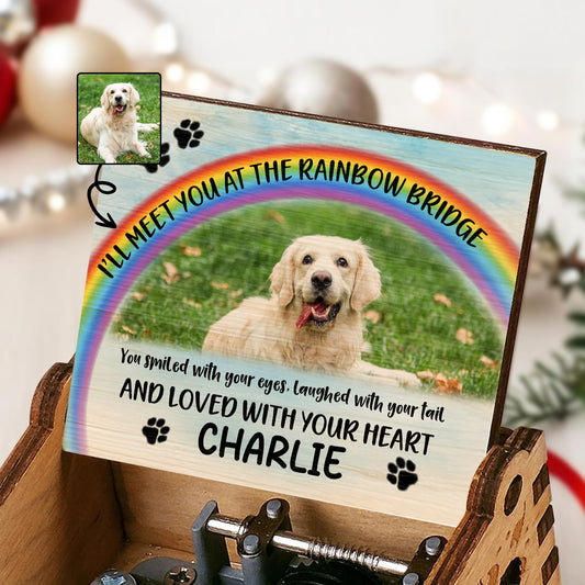 I'll Meet You At The Rainbow Bridge, Rainbow and Dog