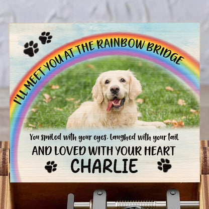I'll Meet You At The Rainbow Bridge, Rainbow and Dog