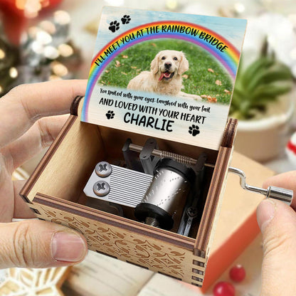 I'll Meet You At The Rainbow Bridge, Rainbow and Dog