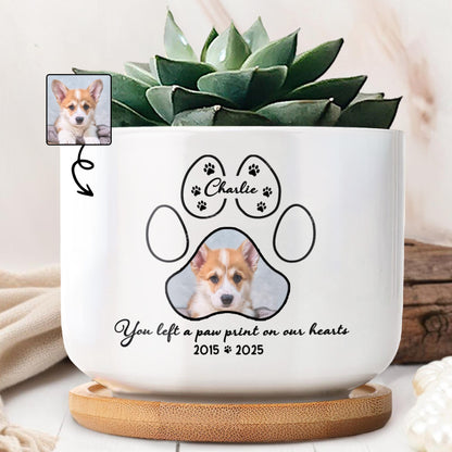You Left A Paw Print On Our Hearts, Paw Prints And Dog Photo