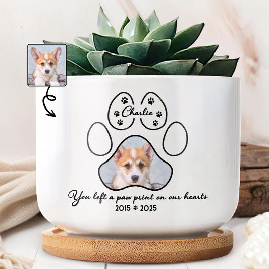 You Left A Paw Print On Our Hearts, Paw Prints And Dog Photo
