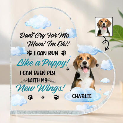 Don't Cry For Me Mom! I'm Ok!, Dog, Clouds, Paw Prints, Wings
