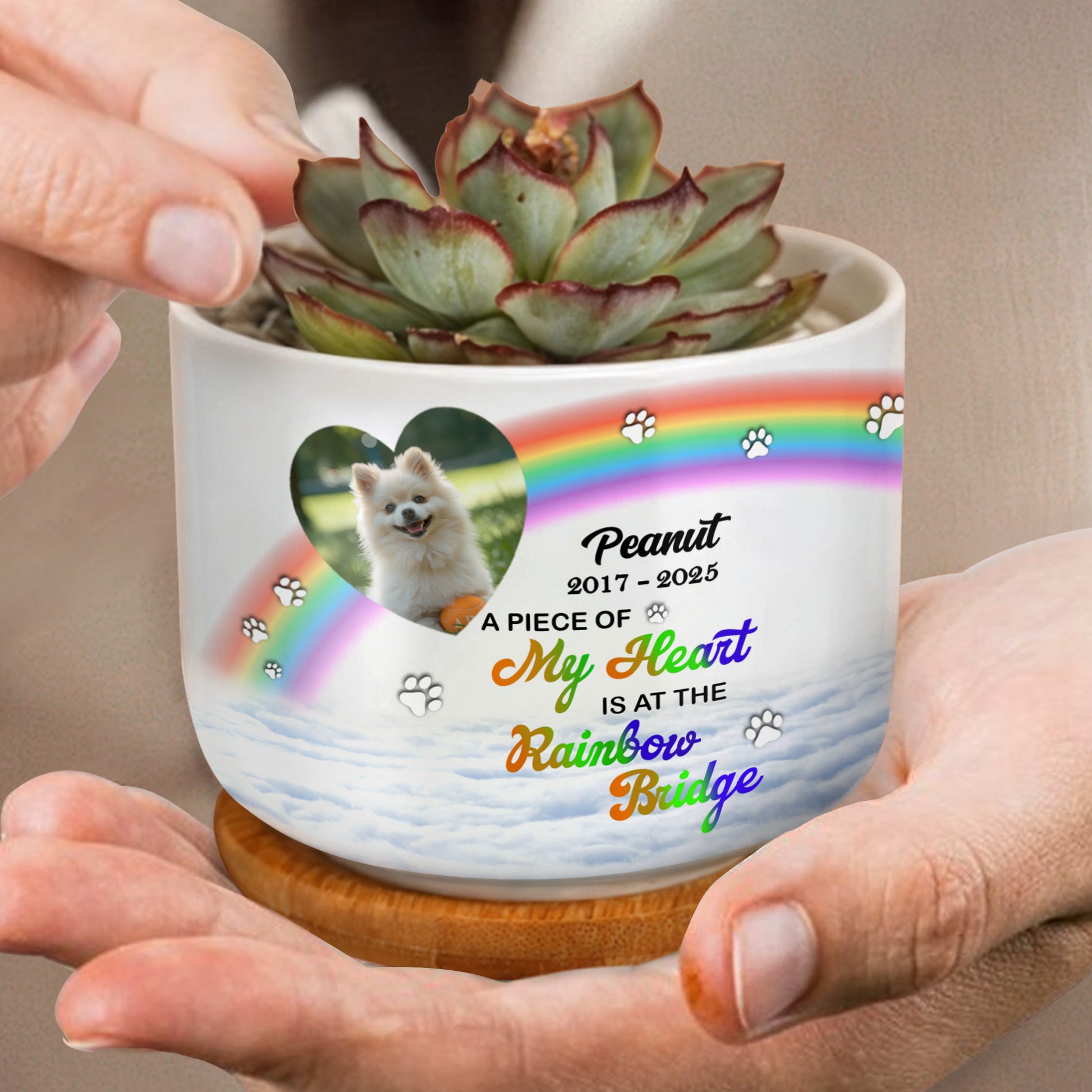 A Piece Of My Heart Is At The Rainbow Bridge, Rainbow and Paw Prints