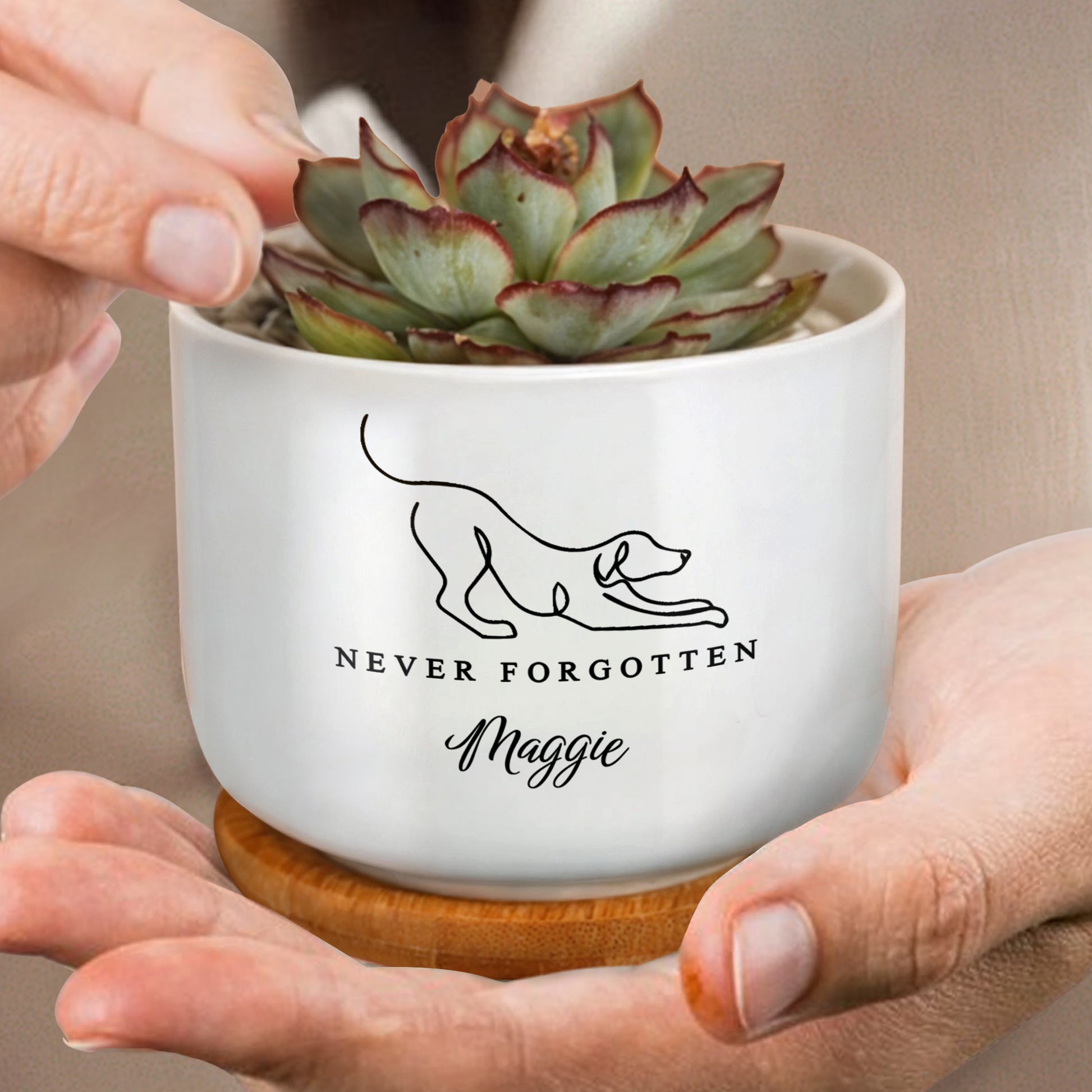 Never Forgotten, Dog And Paw Prints