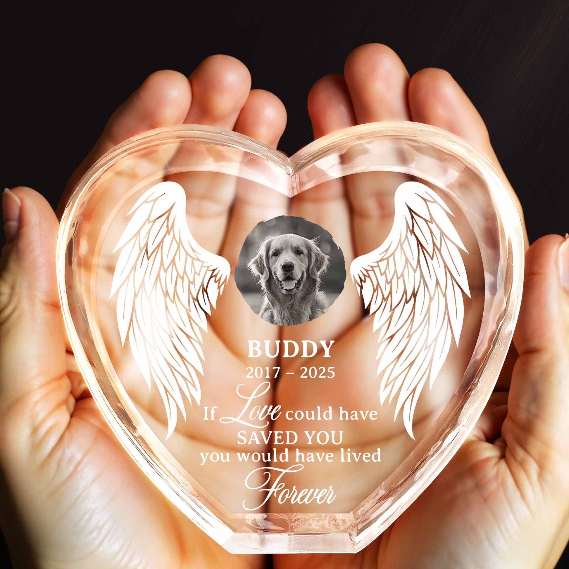 If Love Could Have Saved You, Forever Wings And Dog Design