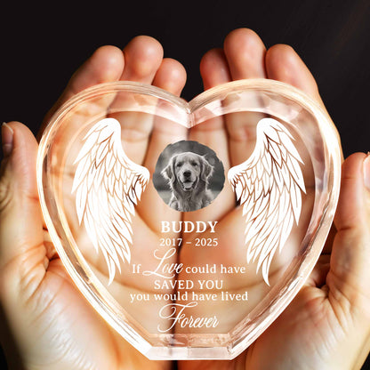 If Love Could Have Saved You, Forever Wings And Dog Design