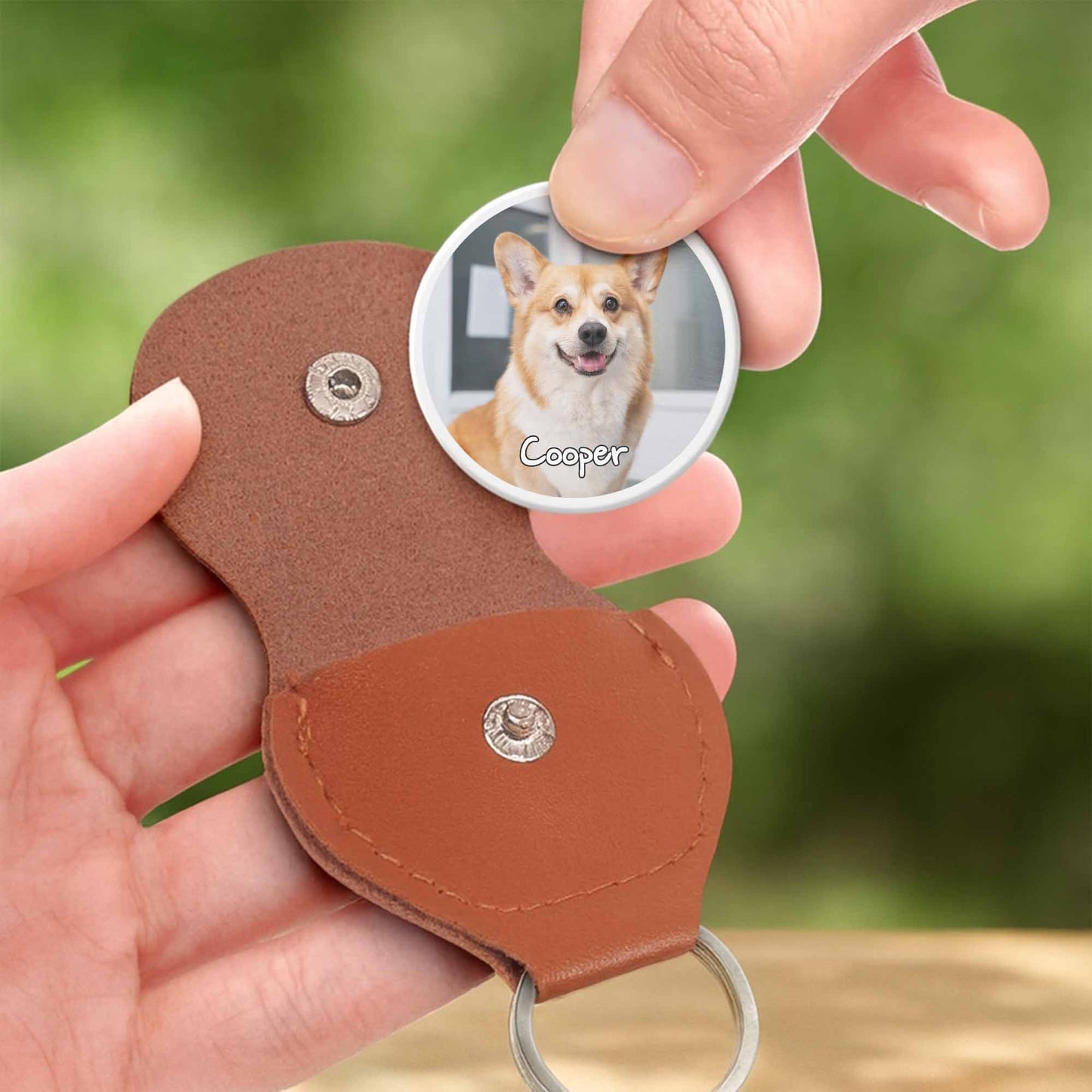 A Little Hug From Rainbow Bridge, Paw Prints And Rainbow