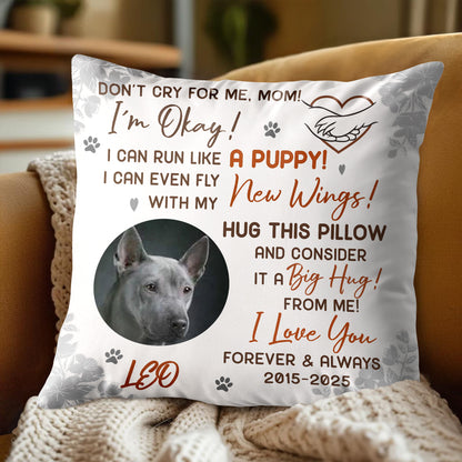 Don't Cry For Me Mom, I'm Okay! Wings Big Hug Dog Pillow