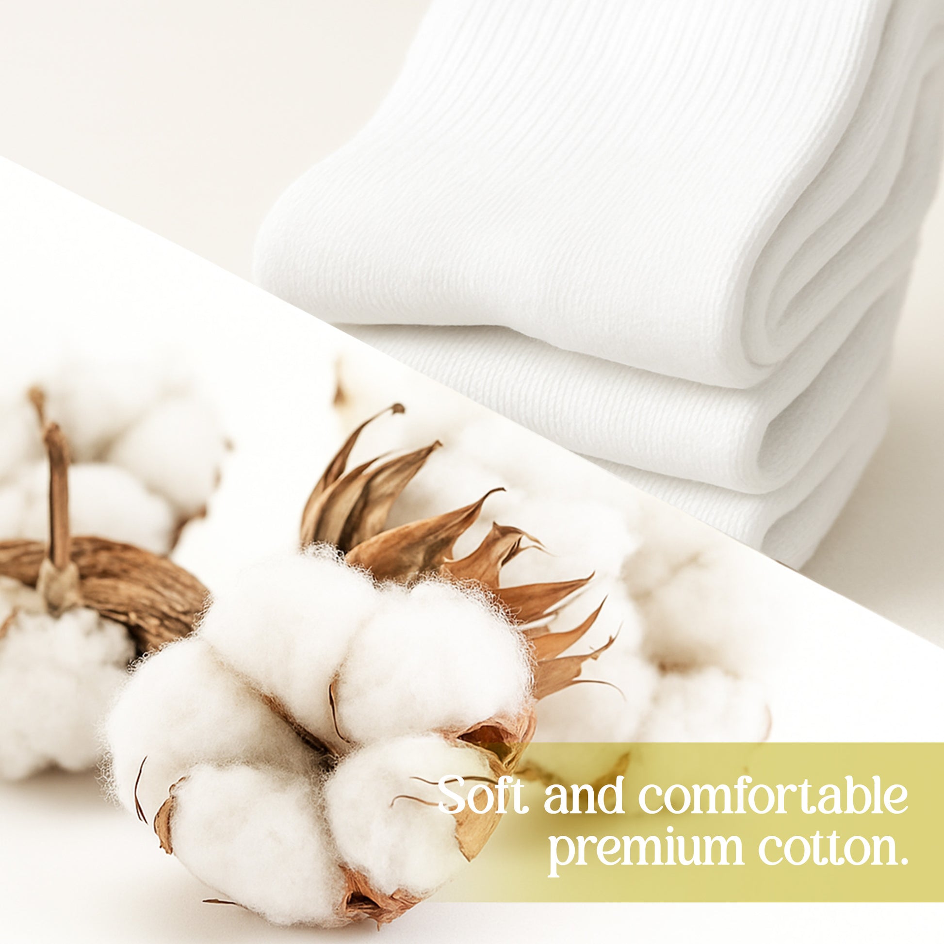 Yes I Really Do Need All These Books Socks