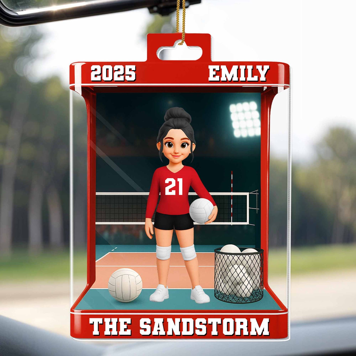 Celebrate Your Favorite Volleyball Player