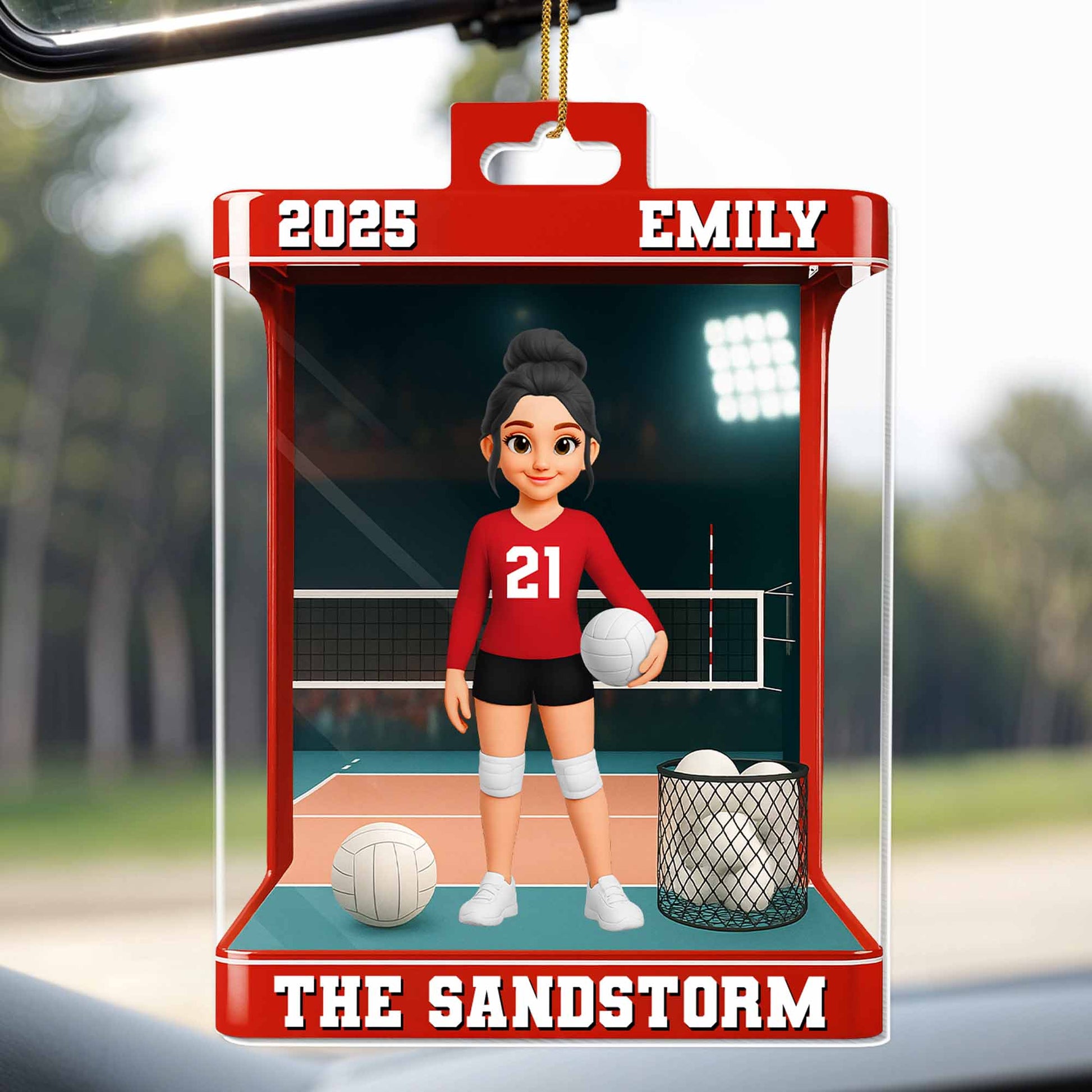 Celebrate Your Favorite Volleyball Player